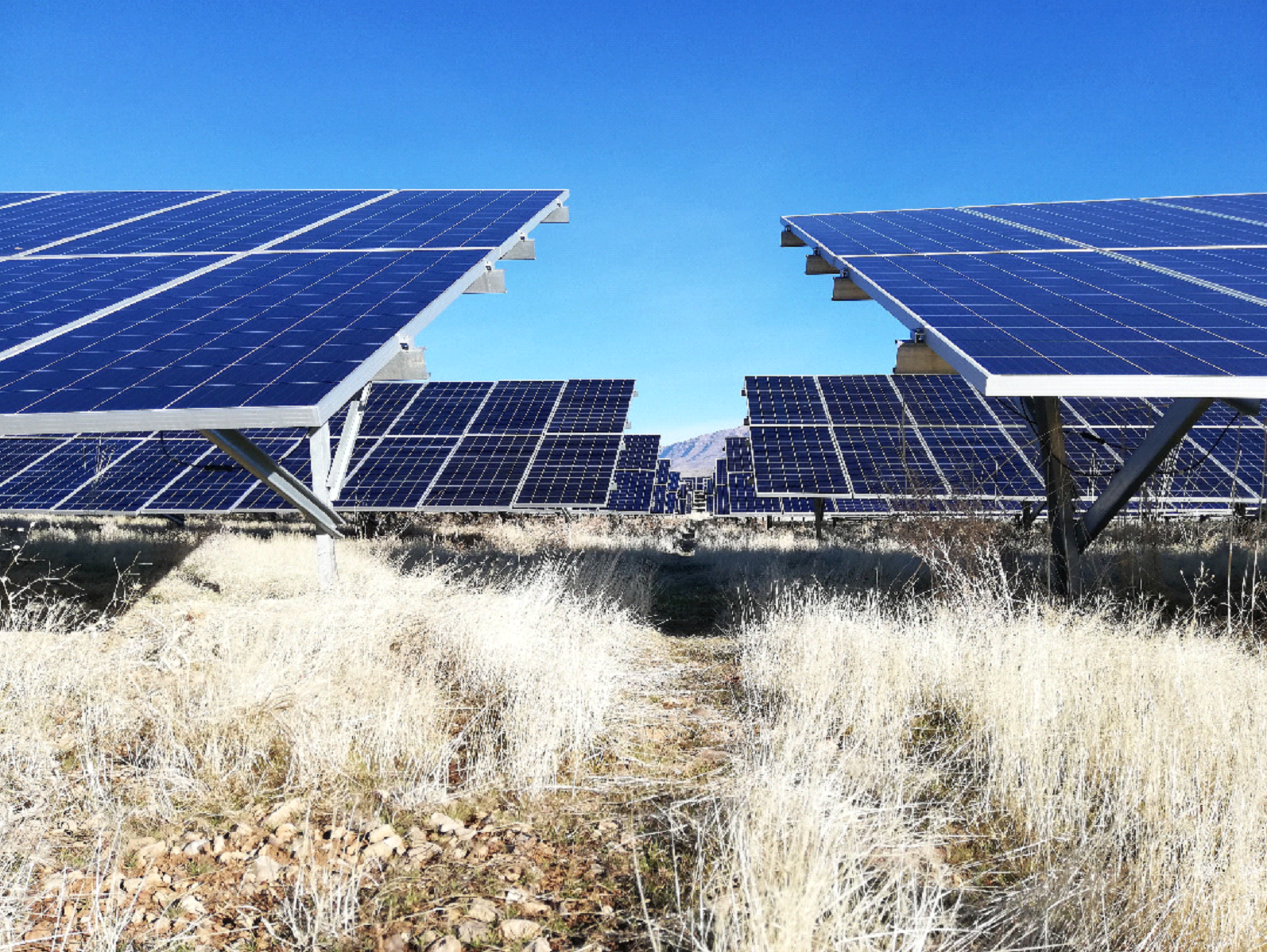 Solar Farms Service